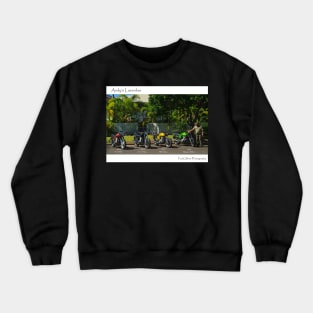 Andy's Laverdas Crewneck Sweatshirt